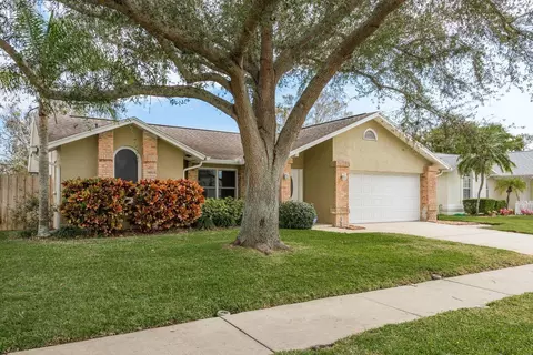 3048 Orchard Dr, Palm Harbor, FL 34684