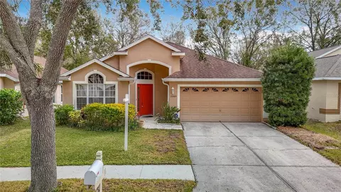 15505 Granby Pl, Tampa, FL 33624