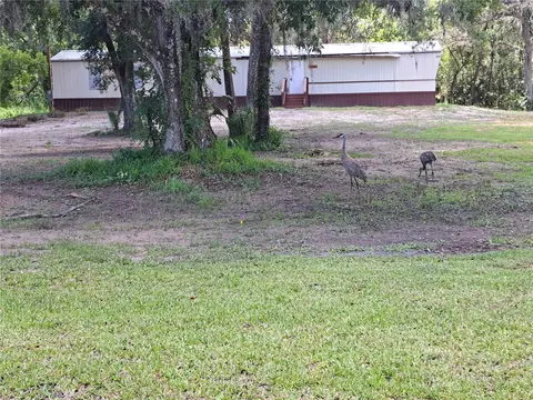 1463 Bobolink St, Zephyrhills, FL 33540