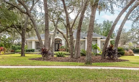 6017 Hammock Hill Ave, Lithia, FL 33547