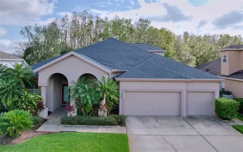 1542 Deerbourne Dr, Wesley Chapel, FL 33543