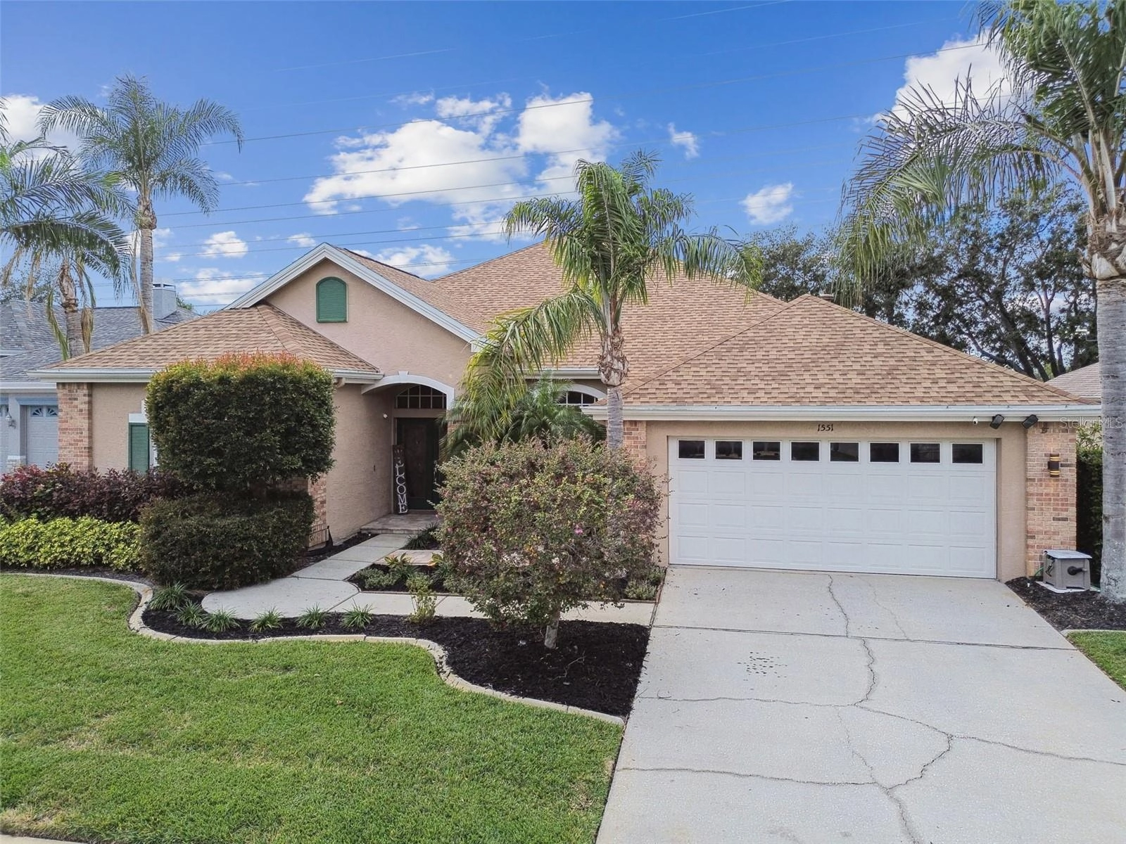 1551 Daylily Dr, Trinity, FL 34655 photo 1