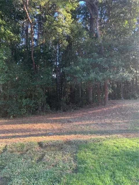 Cherry Ridge, Land O Lakes, FL 34639