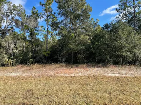 lot44 SW 102nd Street Rd, Dunnellon, FL 34431