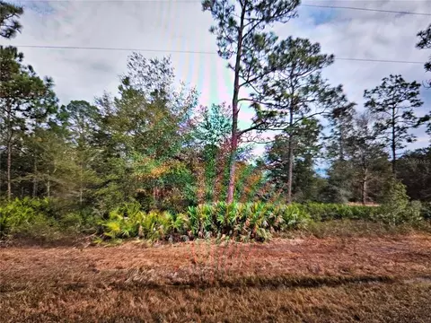 Creager Ave, Interlachen, FL 32148