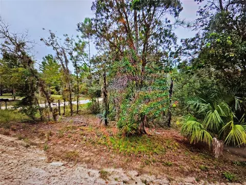 Se 4th St, Williston, FL 32696
