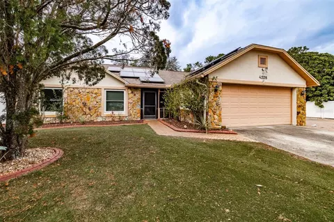 4228 Spring Way Cir, Valrico, FL 33596