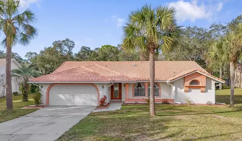 11097 Golden Eagle Ave, Weeki Wachee, FL 34613