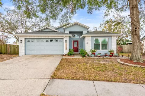 1610 Allenton Ave, Brandon, FL 33511