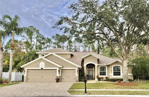 16754 Ivy Lake Dr, Odessa, FL 33556