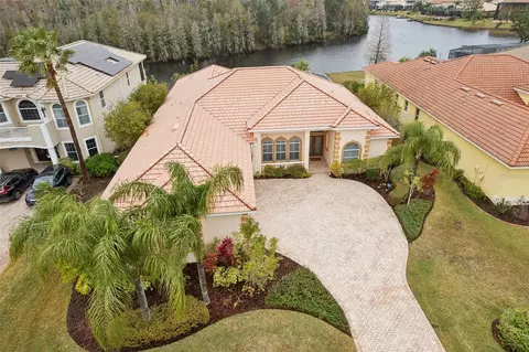 10553 Bermuda Isle Dr, Tampa, FL 33647