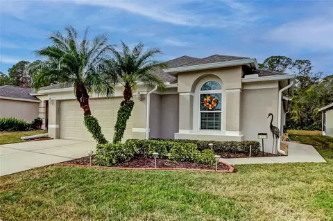5233 Gato Del Sol Cir, Wesley Chapel, FL 33544