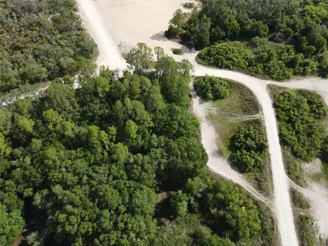Coral Rock Drive, Webster, FL 33597
