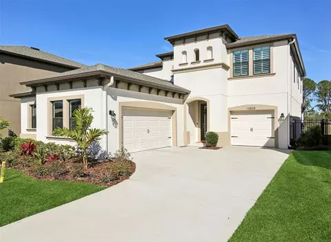 14838 Paddock Pond Ave, Lithia, FL 33547