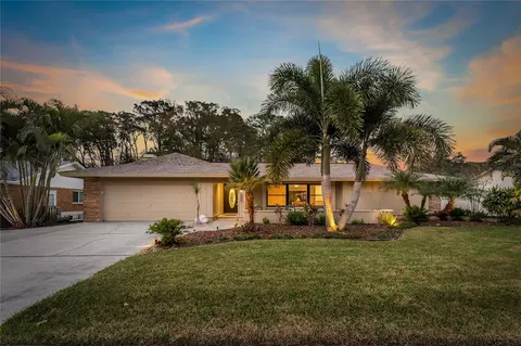 1301 Eniswood Pkwy, Palm Harbor, FL 34683