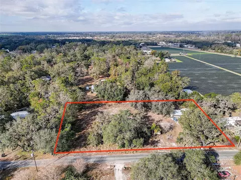 1409 Wilkinson Dr, Plant City, FL 33566