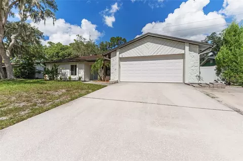 3915 Briarlake Dr, Valrico, FL 33596