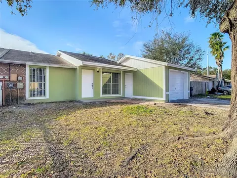 10214 Turtle Hill Ct, Tampa, FL 33615