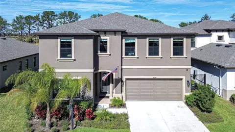 14834 Paddock Pond Ave, Lithia, FL 33547