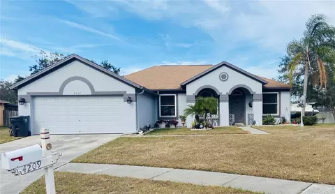 4209 Amber Ridge Ln, Valrico, FL 33594
