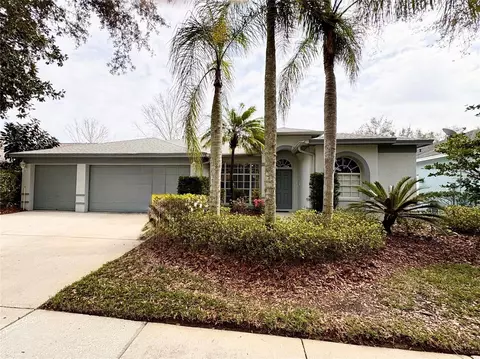 17707 Emerald Green Pl, Tampa, FL 33647