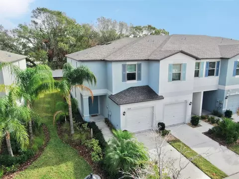 3818 Cat Mint St, Tampa, FL 33619