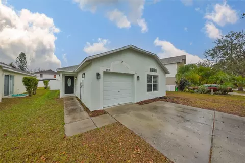 10526 Opus Drive Riverview, Riverview, FL 33579 photo 1