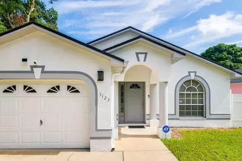 3123 W Rio Vista Ave, Tampa, FL 33614
