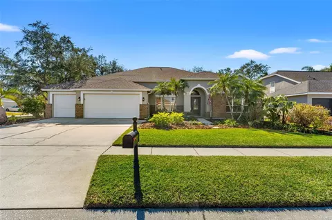 1505 Crooked Stick Dr, Valrico, FL 33596