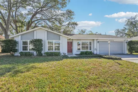 13214 Moran Dr, Tampa, FL 33618