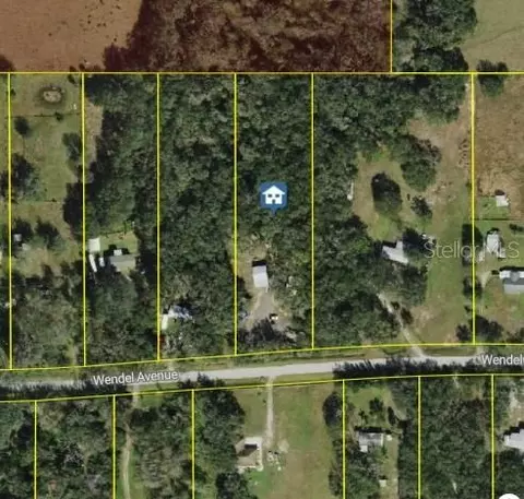 316 Wendel Ave, Lithia, FL 33547
