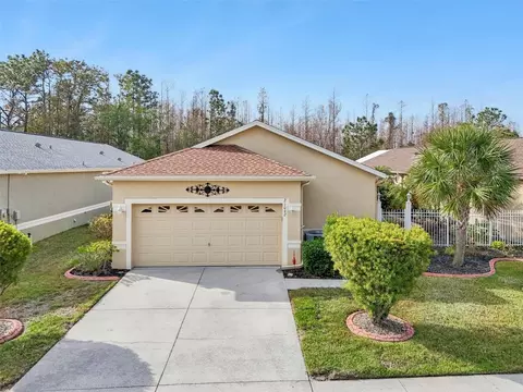 21042 Diamonte Dr, Land O Lakes, FL 34637