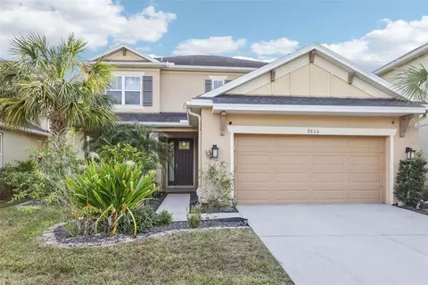 8836 Citrus Palm Dr, Tampa, FL 33626