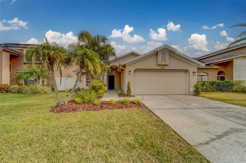11607 Branch Mooring Dr, Tampa, FL 33635