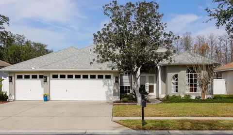 8537 Orsi Ct, Trinity, FL 34655