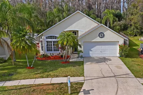 1301 Horsemint Ln, Wesley Chapel, FL 33543