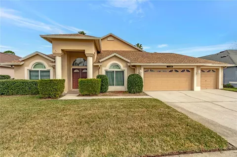 10025 Cypress Shadow Ave, Tampa, FL 33647