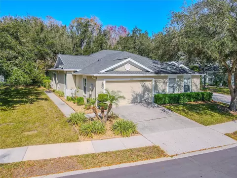 10632 Ashford Oaks Dr, Tampa, FL 33625
