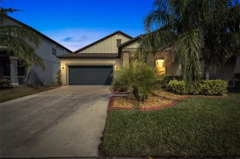 10916 Great Cormorant Dr, Riverview, FL 33579 photo 1
