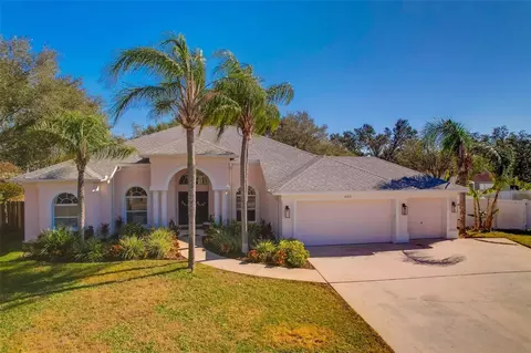 4325 Swift Cir, Valrico, FL 33596