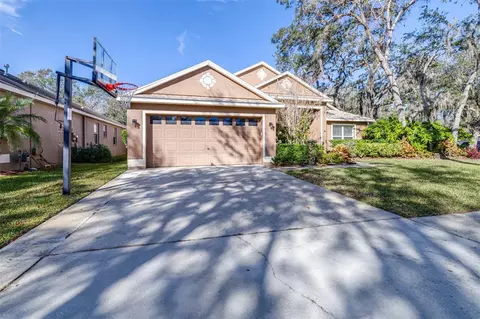 6003 Tealside Ct, Lithia, FL 33547