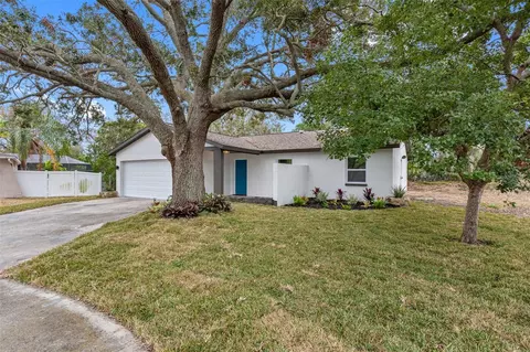 1399 Grapeleaf Ct, Tarpon Springs, FL 34689