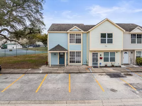 13817 Stone Mill Way, Tampa, FL 33613