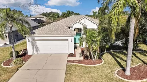9813 Balsaridge Ct, Trinity, FL 34655