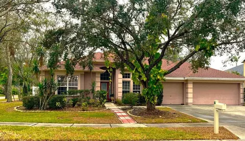 18108 Sugar Brooke Dr, Tampa, FL 33647