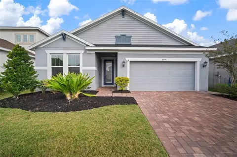10641 Cardera Dr, Riverview, FL 33578