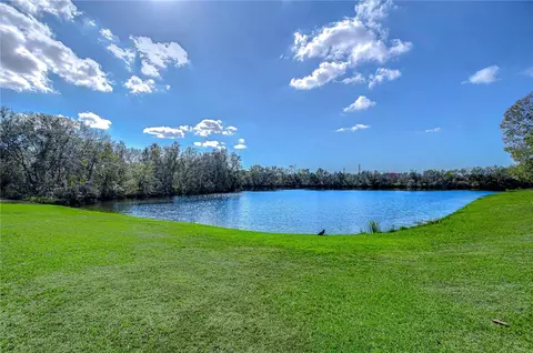 13908 Orange Dale Pl, Tampa, FL 33625