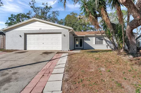 3917 Briarlake Dr, Valrico, FL 33596