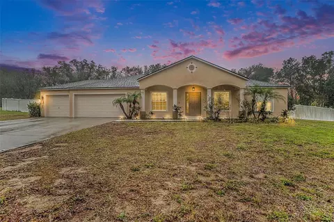 10442 Bloomfield Hills Dr, Seffner, FL 33584