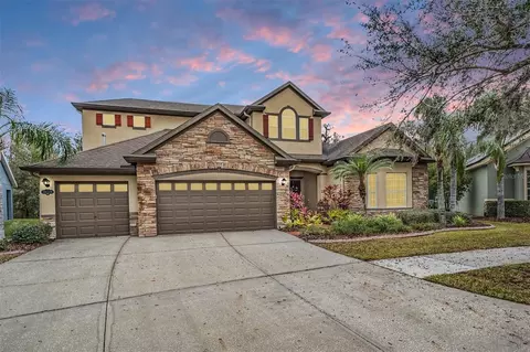 19116 Sweet Clover Ln, Tampa, FL 33647
